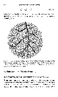 John K-J Li - Dynamics of the Vascular System, page 161